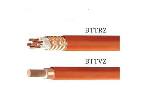 BTTVZ和BTTRZ有什么区别?(图1) BTTVZ和BTTRZ有什么区别?(图1)