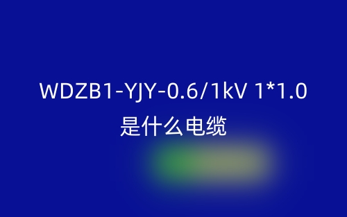 WDZB1-YJY-0.6/1kV 1*1.0是什么电缆？(图1)