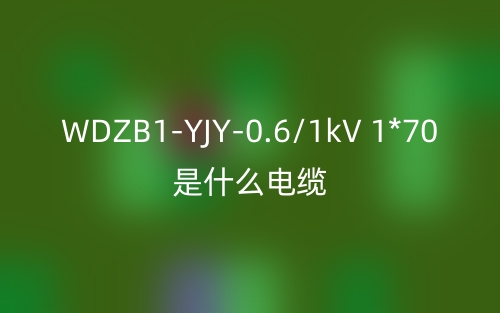 WDZB1-YJY-0.6/1kV 1*70是什么电缆？(图1)