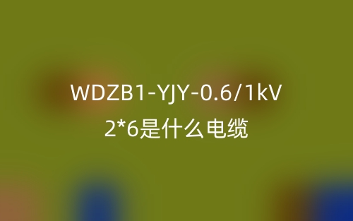 WDZB1-YJY-0.6/1kV 2*6是什么电缆？(图1)