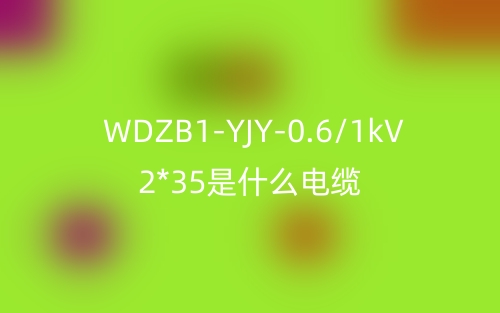 WDZB1-YJY-0.6/1kV 2*35(图1)