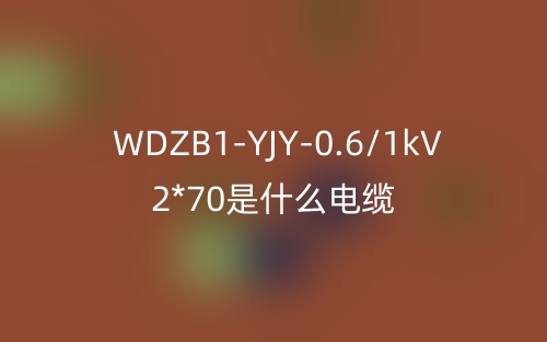 WDZB1-YJY-0.6/1kV 2*70是什么电缆?(图1) WDZB1-YJY-0.6/1kV 2*70是什么电缆?(图1)