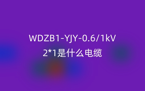 WDZB1-YJY-0.6/1kV 2*1.0是什么电缆？(图1)