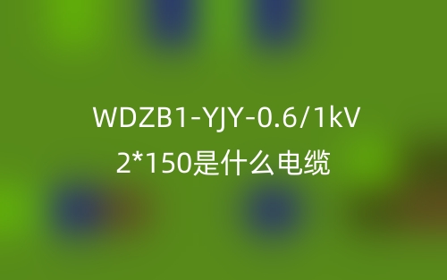 WDZB1-YJY-0.6/1kV 2*150是什么电缆？(图1)