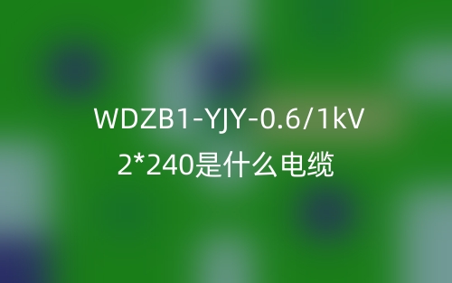 WDZB1-YJY-0.6/1kV 2*240是什么电缆？(图1)