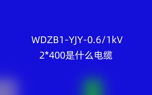 WDZB1-YJY-0.6/1kV 2*400是什么电缆？(图1)