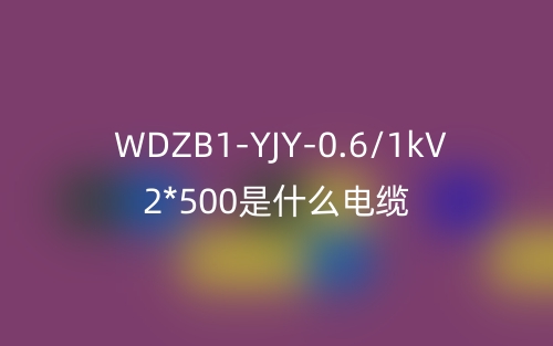 WDZB1-YJY-0.6/1kV 2*500是什么电缆？(图1)