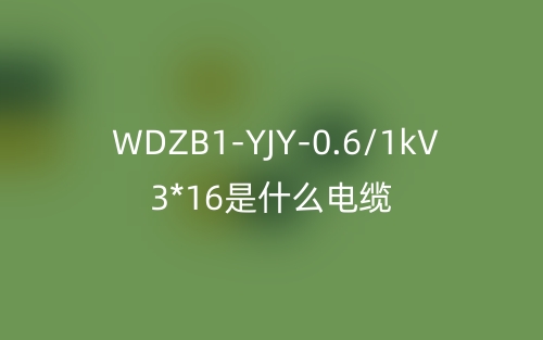 WDZB1-YJY-0.6/1kV 3*16是什么电缆？(图1)