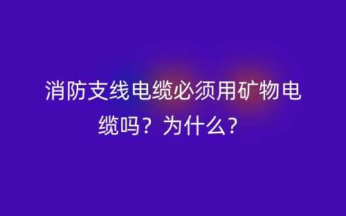 消防支线电缆必须用矿物电缆吗？为什么？(图1)